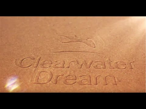 Clear Water Dream  (Music Video) - Maryland Musicians Jam to Save the Chesapeake Bay