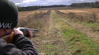 geburtstagsspruch latein