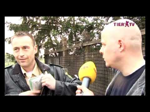 TIER.TV Reportage "Der Hundequäler von Ahlen"