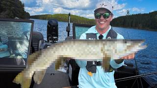 We Caught A Rare Fish!