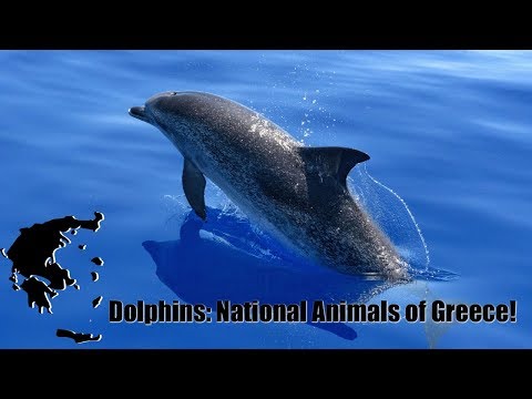 image-What is the national animal of ancient Greece?