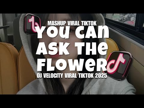 DJ YOU CAN ASK THE FLOWER X AISYAH MAYMUNAH VELOCITY VIRAL TIKTOK TERBARU 2025 BY usupyete