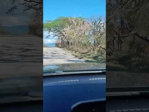 #juticalpa #olancho #honduras #boricua #bendecido