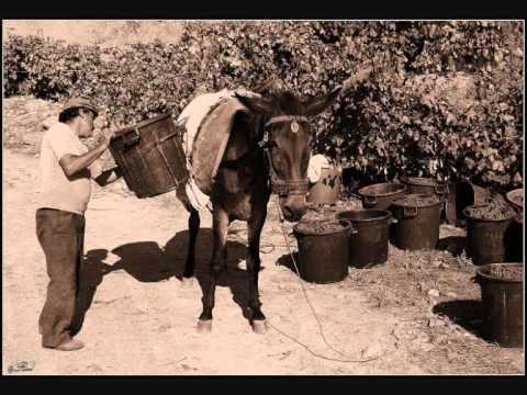 Real Companhia - "Vindima" (nao se me dá que vindimem...) Tradicional da Beira-Baixa