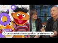 Feest! Sesamstraat bestaat 50 jaar