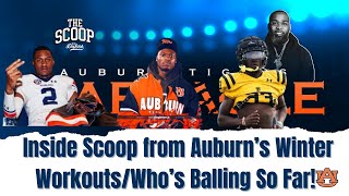 Latest from Auburn Winter Workouts