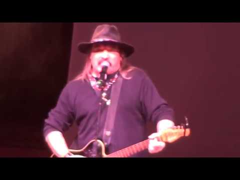 Vasile Șeicaru - Vânare de vânt (live)