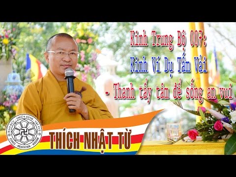 Kinh Trung Bộ 7 (Kinh Ví Dụ Tấm Vải) - Thanh tẩy tâm để sống an vui (06/03/2005)