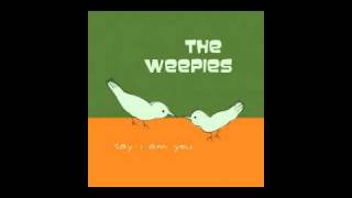 The Weepies-Nobody Knows Me At All (Lyrics!)