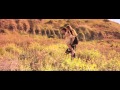 Owl City - Gold (Fan Video) 