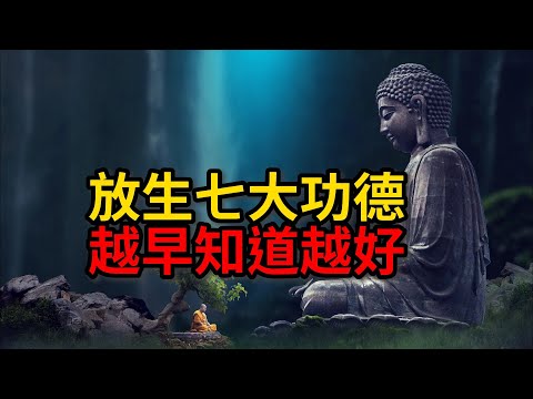 放生七大功德越早知道越好【佛教因果】