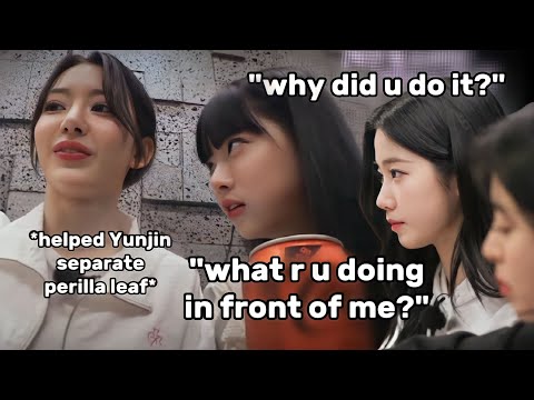 Le sserafim and this never ending perilla leaf debate