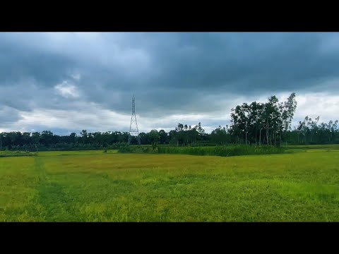 Beautiful nature scene 🥰 Mr Rasel Media || NCS