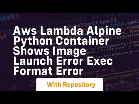 Aws Lambda Alpine Python Container Shows Image Launch Error Exec Format Error