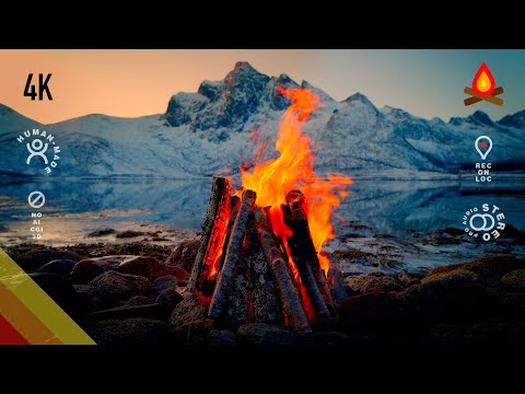 12 hours calm sea 🔥 CAMPFIRE 🔥 in beautiful Lofoten (mid-roll ads turned off)