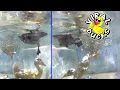 Baby Ducks GoPro Underwater Dive Camera P1