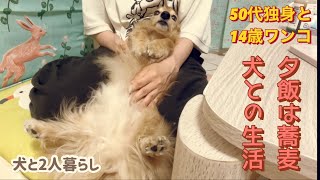 夕飯は蕎麦・犬との生活【50代独身と14歳わんこ】【犬と2人暮らし】