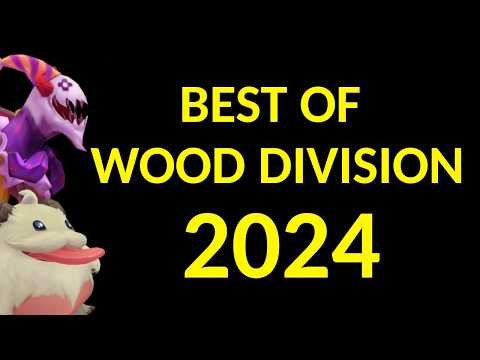 Best of Wood Division 2024