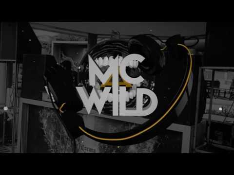 Dj MC WILD⎜Ying Yang Twins - Ultimate Salt Shaker Mashup (Remake)
