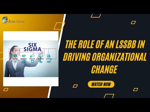 Play Video Youtube Video