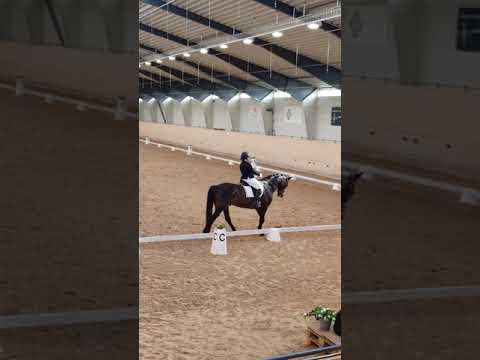 Rafario Msv c2 69,7% debut