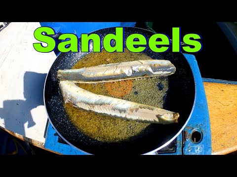 Cooking Sandeels on the Boat