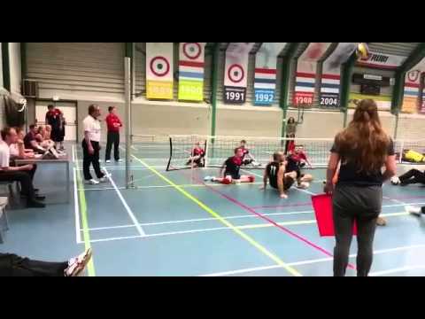 Zitvolleybal vc nesselande