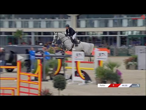 Zuccero HV v. Zirocco Blue und R.G. Bengtsson in Hagen – Platz 7 im Großen Preis