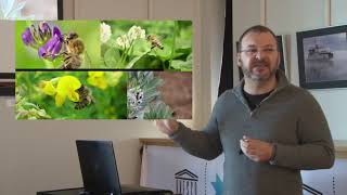 Conférence sur la biodiversité et les insectes pollinisateurs de Charlevoix pour l'organisme GUÊ