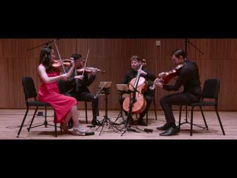 Catalyst Quartet en concierto - Promo