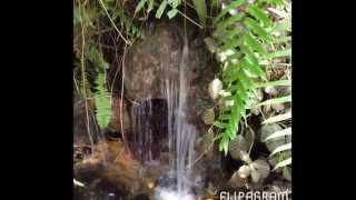 Key west trip 2014        Song-Crazy town by Jason Aldean