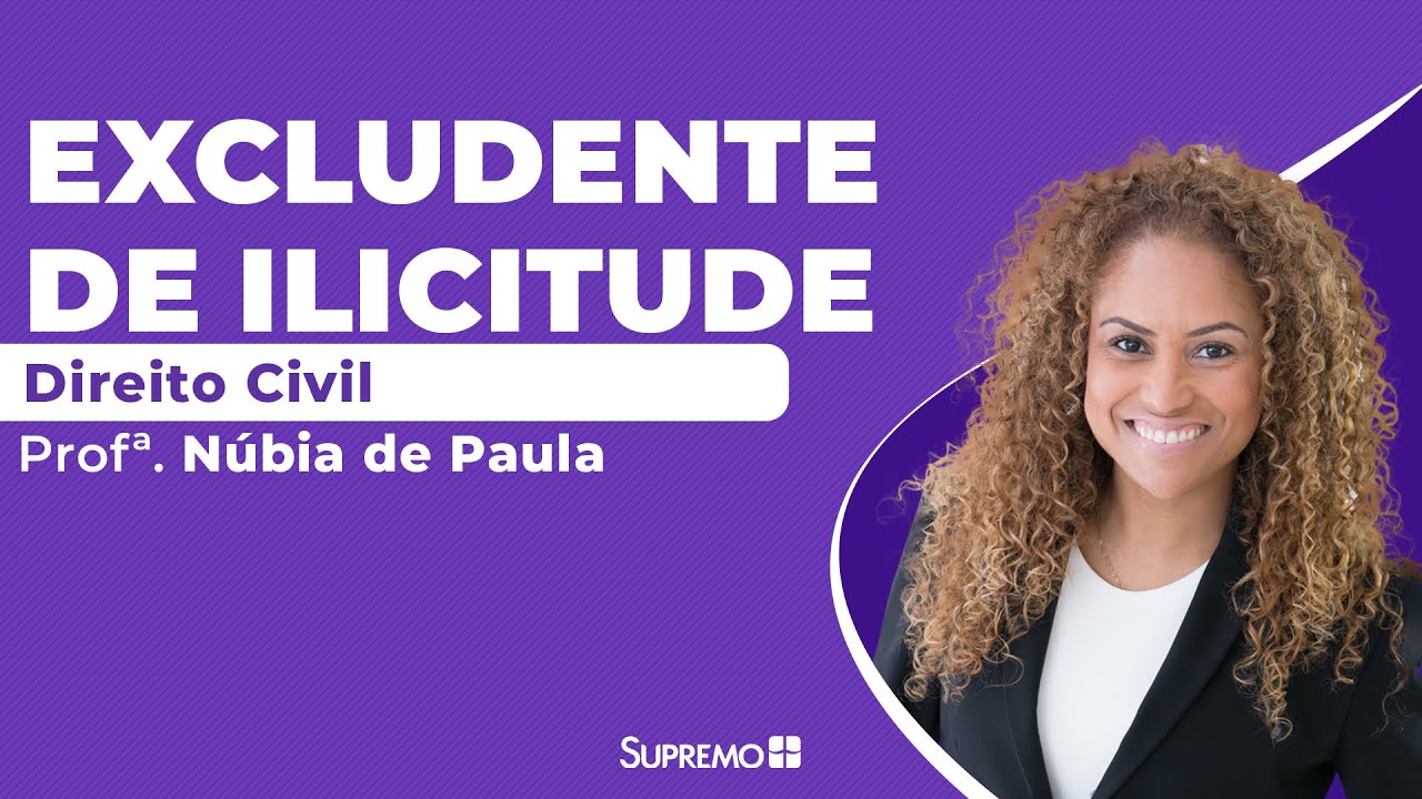Excludentes de Ilicitude no Direito Civil - Profª. Núbia de Paula
