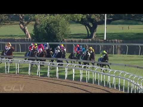 20210703 Hollywoodbets Greyville express clip Race 6 won by WATERBERRY LANE