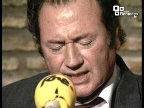 FOSFORITO Alegrías de Cádiz  - Tesoros del Flamenco 1990 - www.canalflamencotv.com