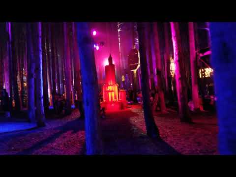 A walk through Sherwood Forest - Part 2 of 5 // Electric Forest 2019