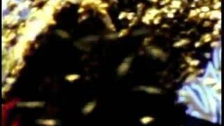 [問題] 請問一個十幾年前用NewDivide作的影片