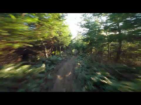 More Crazy Tech Trails At Galbraith Mountain Biking