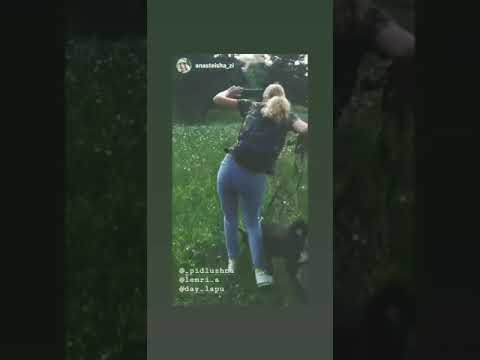 помощь животным инвалидам ПРИЮТ ДАЙ ЛАПУ ДРУГ.ЗА