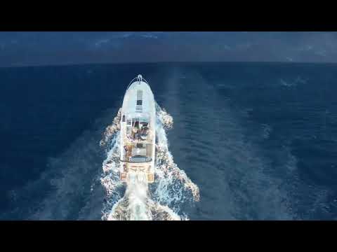 Fidel Wicked - New Life Peace & Love  (alan walker too - famous songs mix  - cover songs)