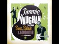 Jimmie Vaughan - Greenbacks