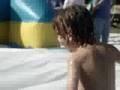 Hippo