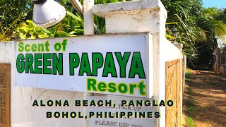 Scent of Green Papaya Resort Hotel in Alona Beach, Panglao, Bohol Philippines - A Review
