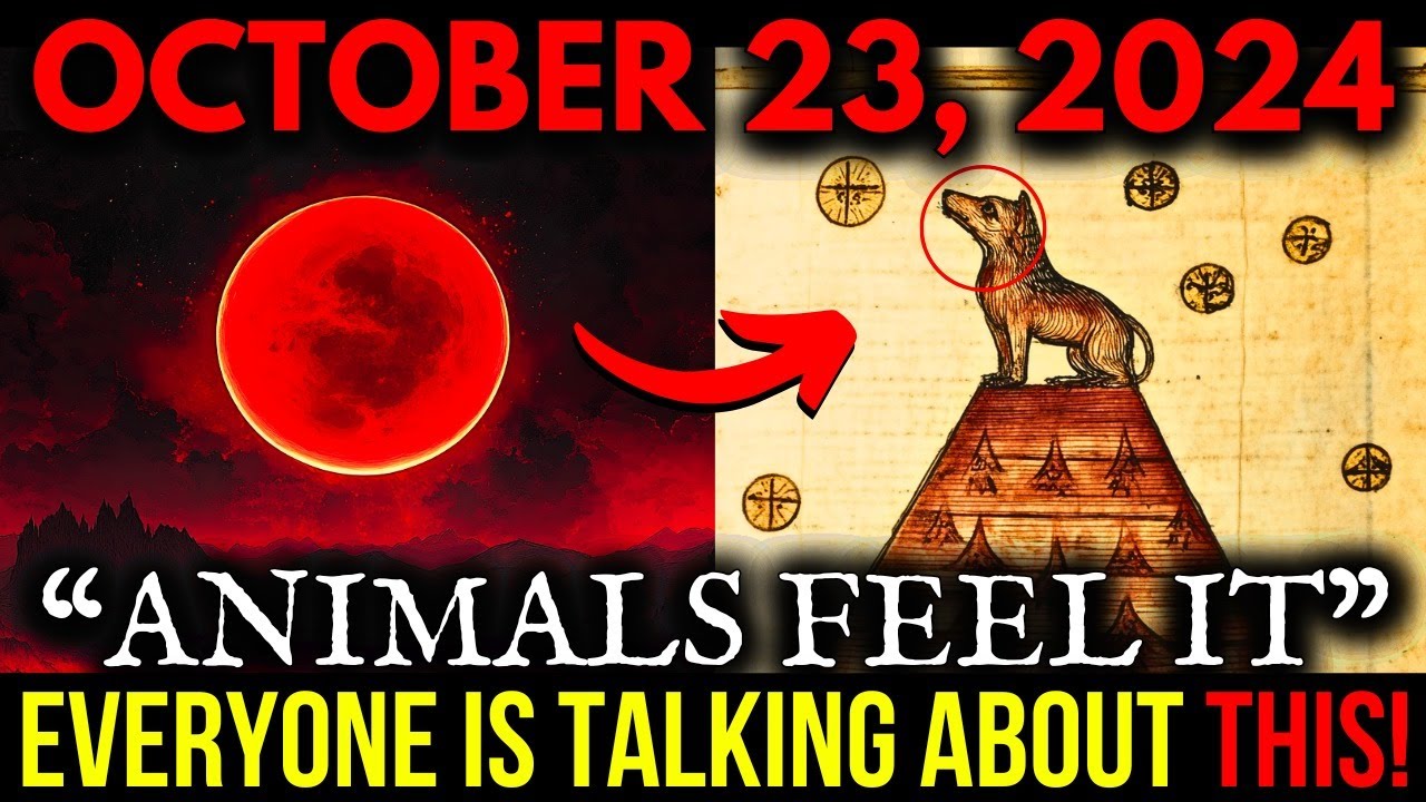 CAUTION! Animals Are Warning Us! A Strong Energy Is About to Hit Earth!