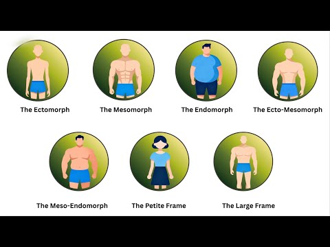 The 7 Body Type and What Evolutionary Advantage They Hide