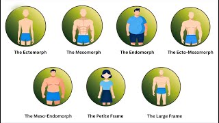 The 7 Body Type and What Evolutionary Advantage They Hide