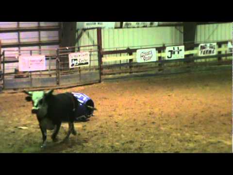 blake sharp bucking bulls