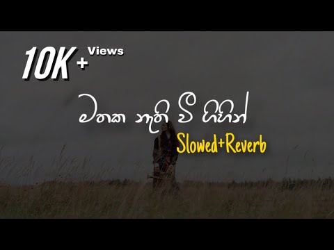 Mathaka Nathi Wee Gihin - මතක නැතිවී ගිහින් (Slowed+Reverb)