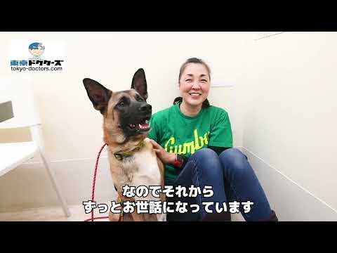 飼い主女性の声