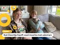 Dierenartsen waarschuwen: 'Koop geen kat met korte snuit'