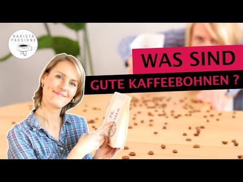 Was sind gute Kaffeebohnen? Gute Kaffeebohnen kaufen  |  Supermarkt-Kaffee vs. Spezialitäten-Kaffee